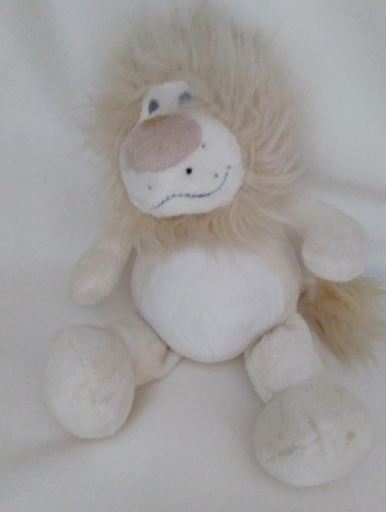 Little plush lion